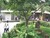 Images (1)_tiny